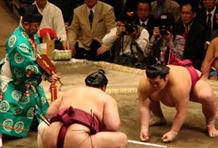 Sumo Wrestling In Tokyo, Japan